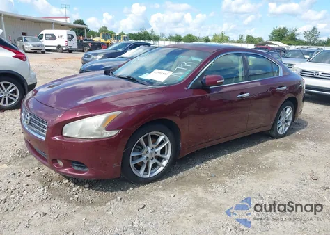 2010 Nissan Maxima 3.5 Sv z USA, uszkodzony, nr VIN 1N4AA5AP6AC868682